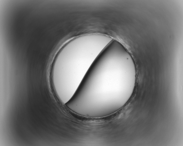 X0000096660103200802121139