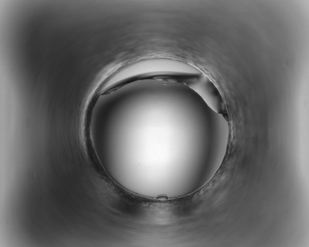 X0000096660104200802121139