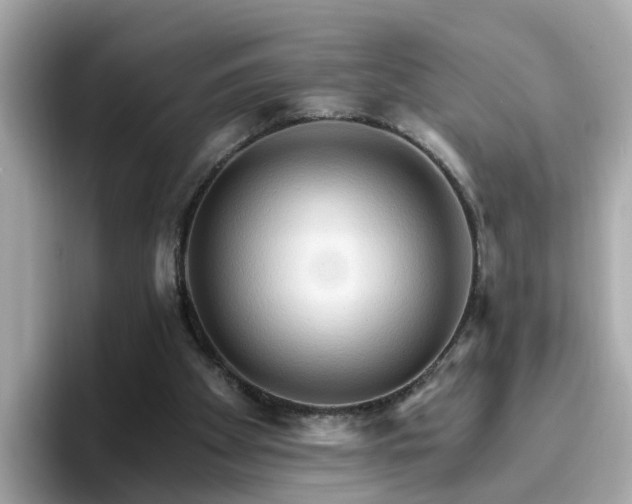 X0000096660105200802121139