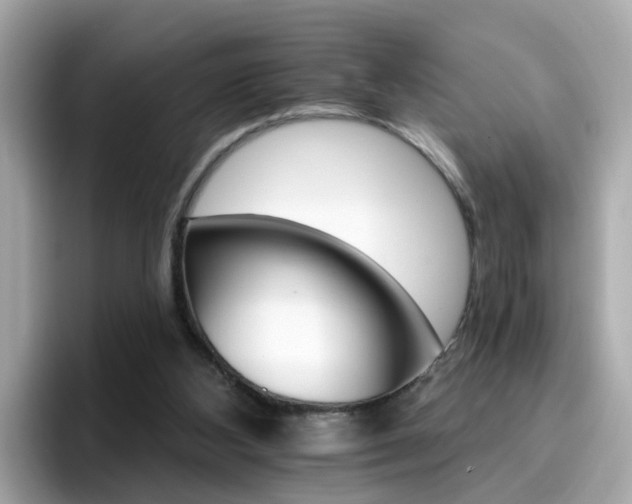 X0000096660108200802121139