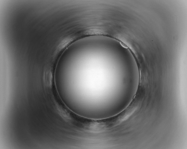 X0000096660109200802121139