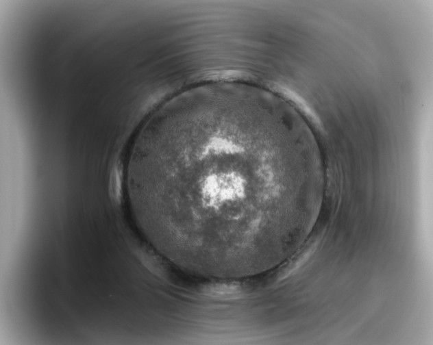 X0000096660110200802121139