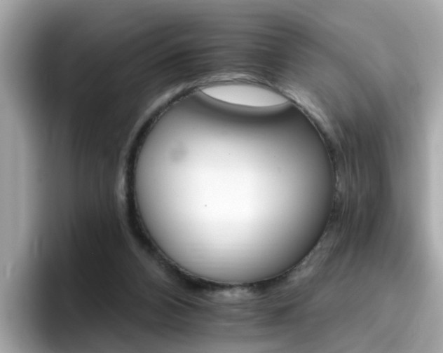 X0000096660112200802121139