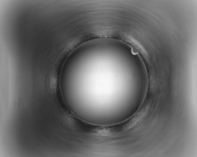 X0000096660113200802121139