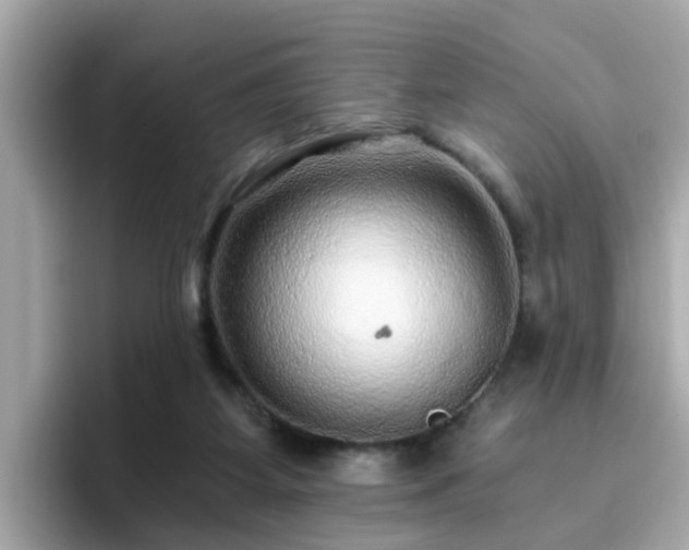 X0000096660115200802121139