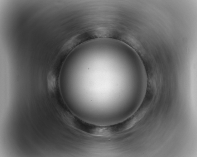 X0000096660117200802121139