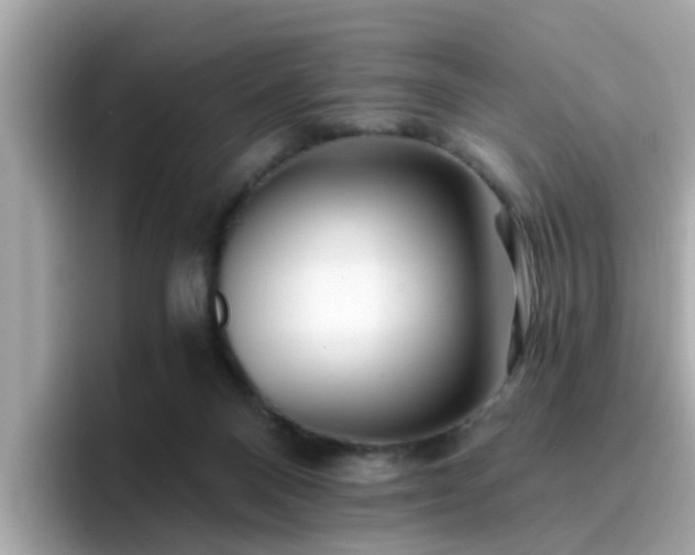 X0000096660120200802121138