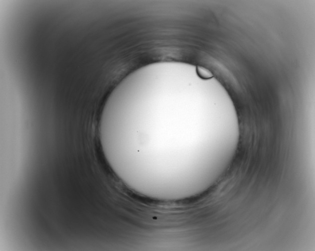 X0000096660123200802121138