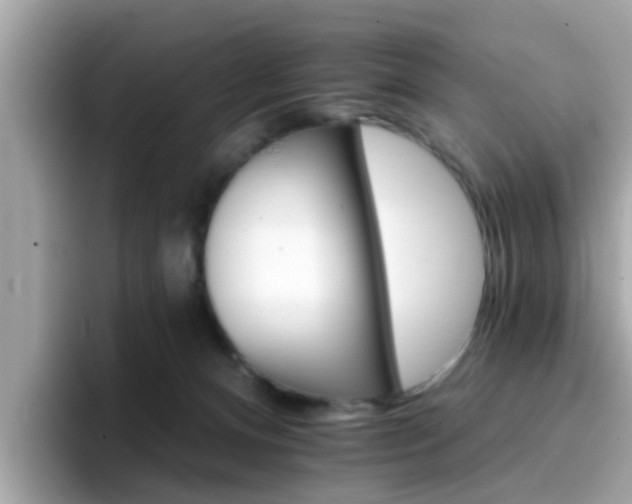 X0000096660128200802121138