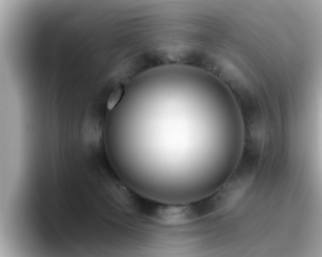 X0000096660129200802121138