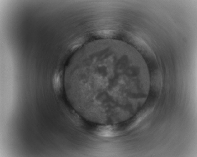 X0000096660131200802121138