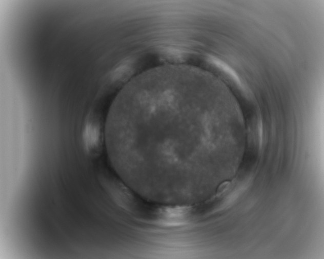 X0000096660134200802121138