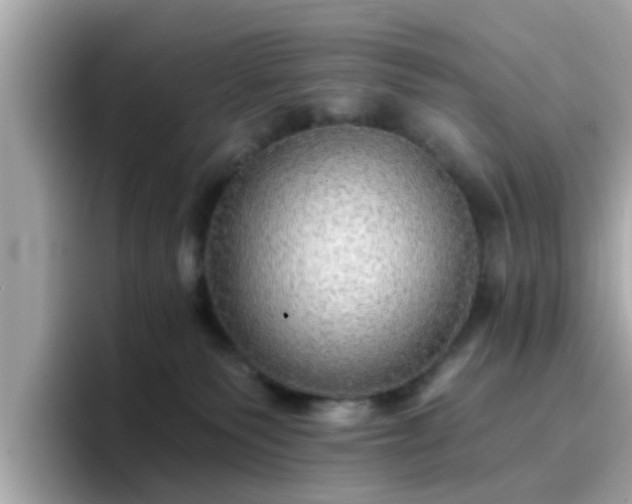 X0000096660135200802121138