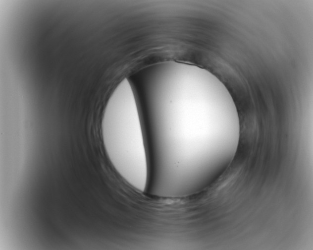 X0000096660137200802121138