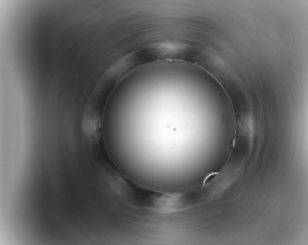 X0000096660138200802121138