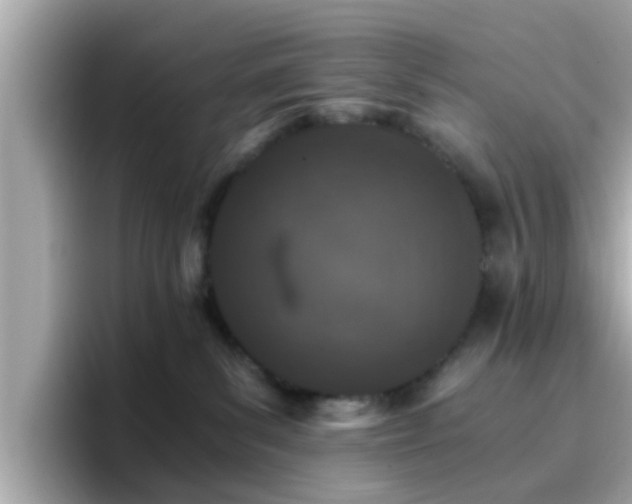 X0000096660139200802121138