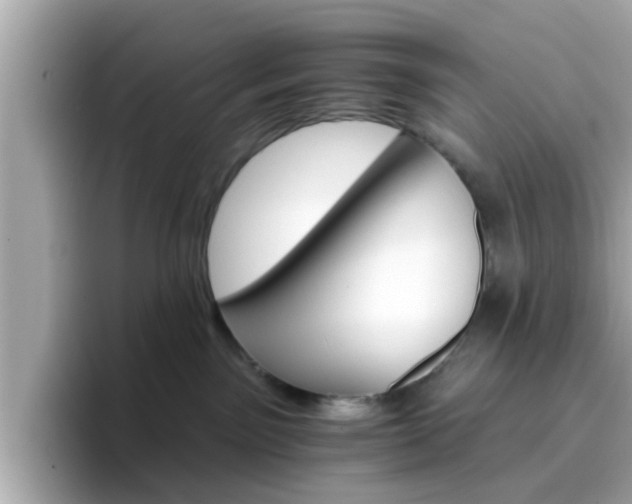 X0000096660141200802121138