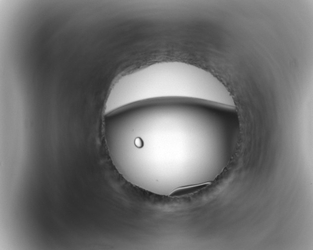 X0000096660144200802121138