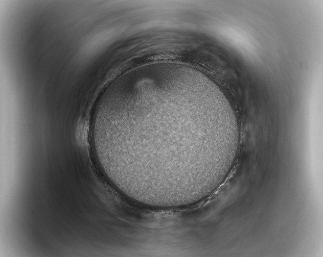 X0000096660146200802121138