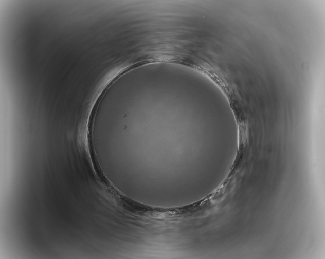 X0000096660147200802121138