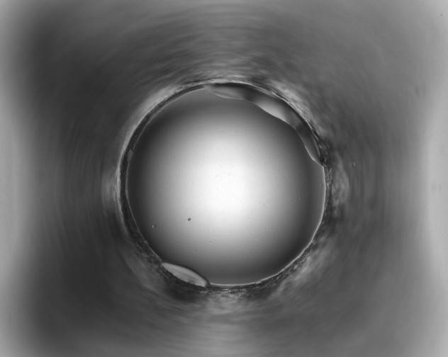 X0000096660148200802121138