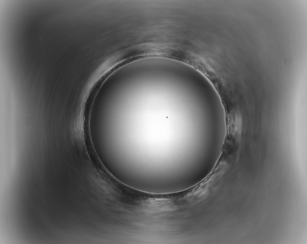 X0000096660150200802121138