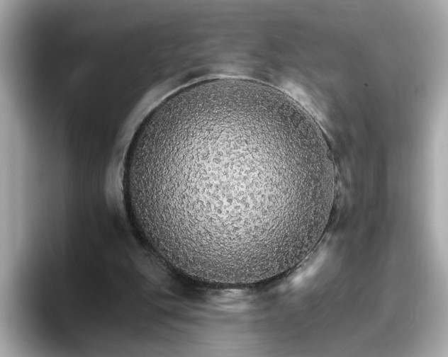 X0000096660151200802121138