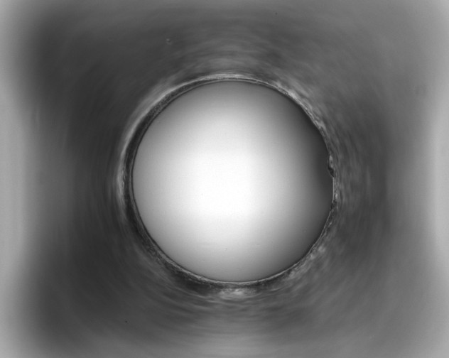 X0000096660152200802121138