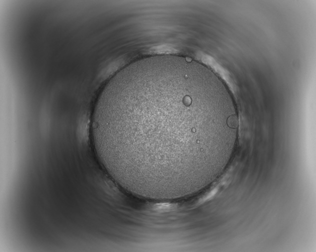 X0000096660153200802121138