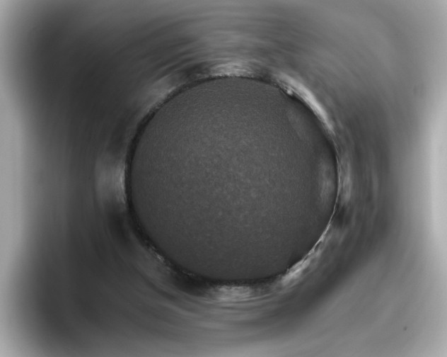 X0000096660154200802121138