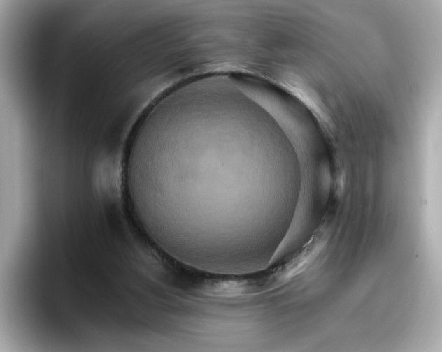 X0000096660156200802121138