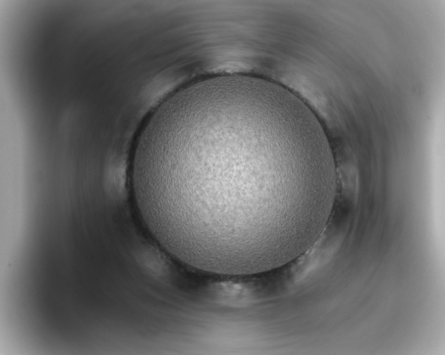 X0000096660159200802121138