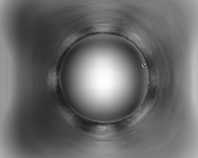 X0000096660160200802121138