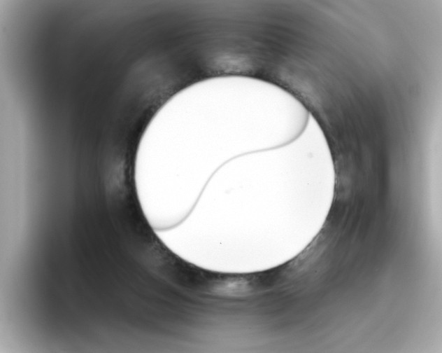 X0000096660162200802121138