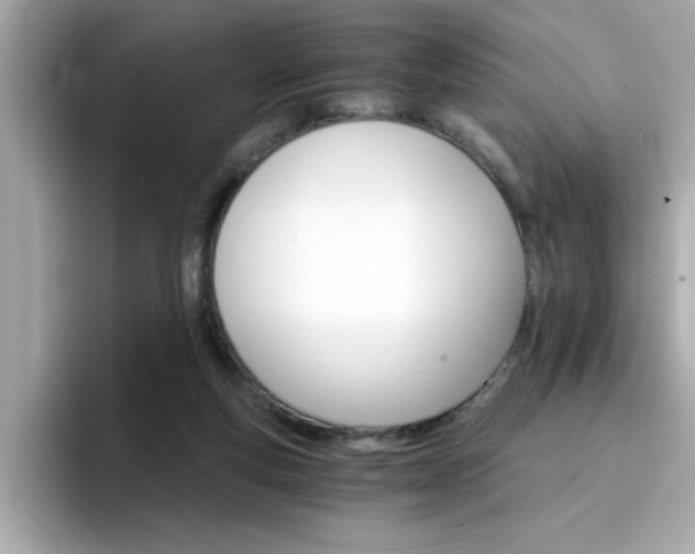 X0000096660163200802121138