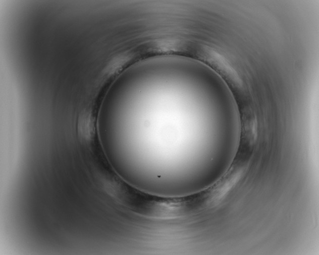 X0000096660164200802121138