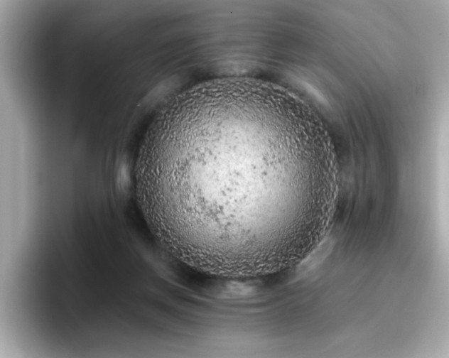 X0000096660166200802121138