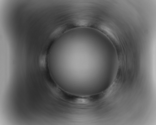 X0000096660167200802121138