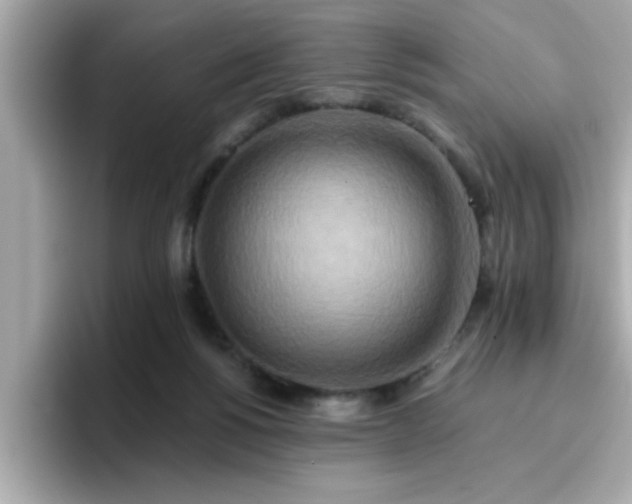 X0000096660168200802121138