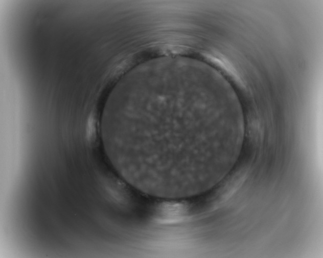 X0000096660169200802121138