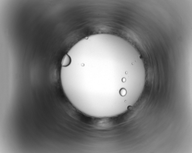 X0000096660173200802121138