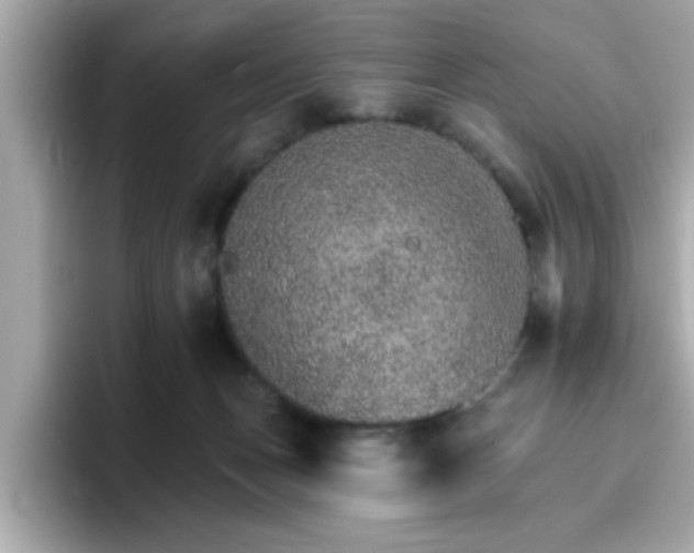 X0000096660175200802121138