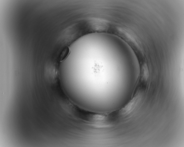 X0000096660176200802121138