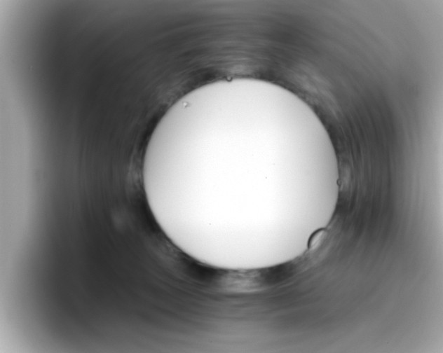 X0000096660179200802121138