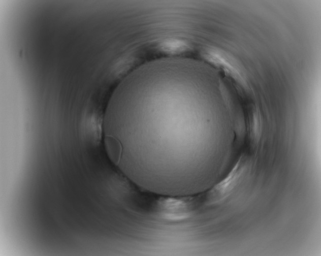 X0000096660180200802121138