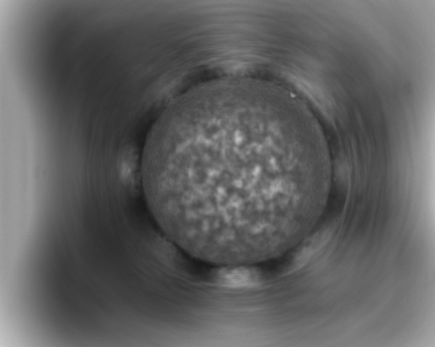 X0000096660181200802121138