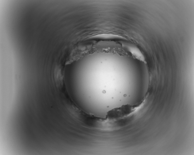 X0000096660186200802121138