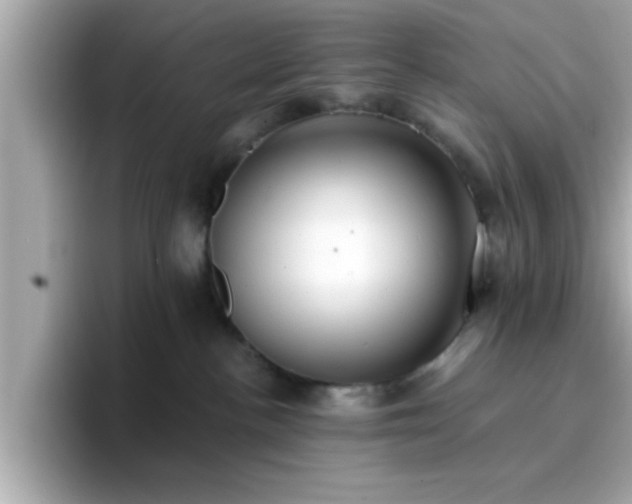 X0000096660188200802121138