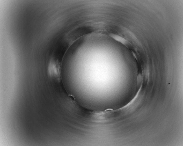 X0000096660190200802121138