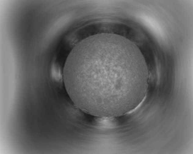 X0000096660191200802121138